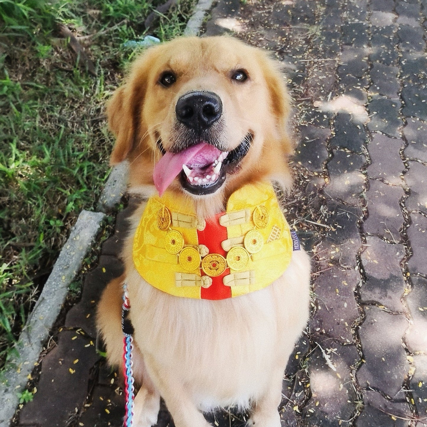 (Reserve Now, Ship Later) Amulet