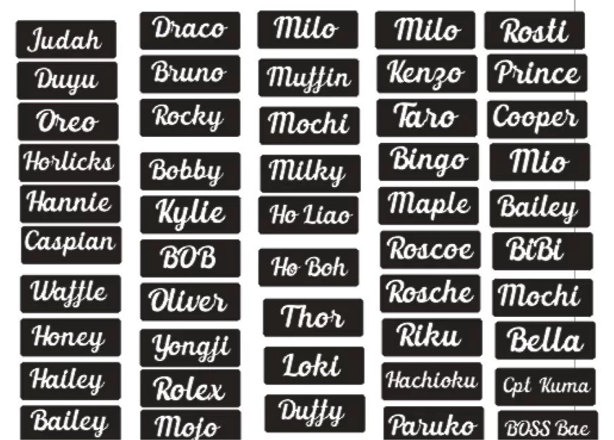 3D Name Tag