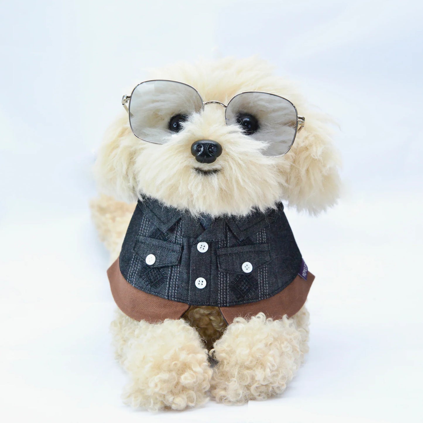 Cyclone (龍捲風) | Pet Bib