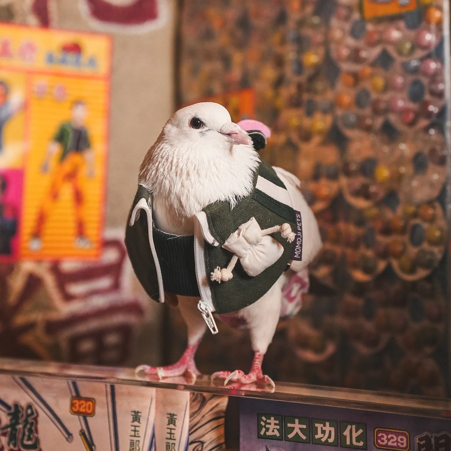 Lok-kwan A (洛軍) | Pet Bib