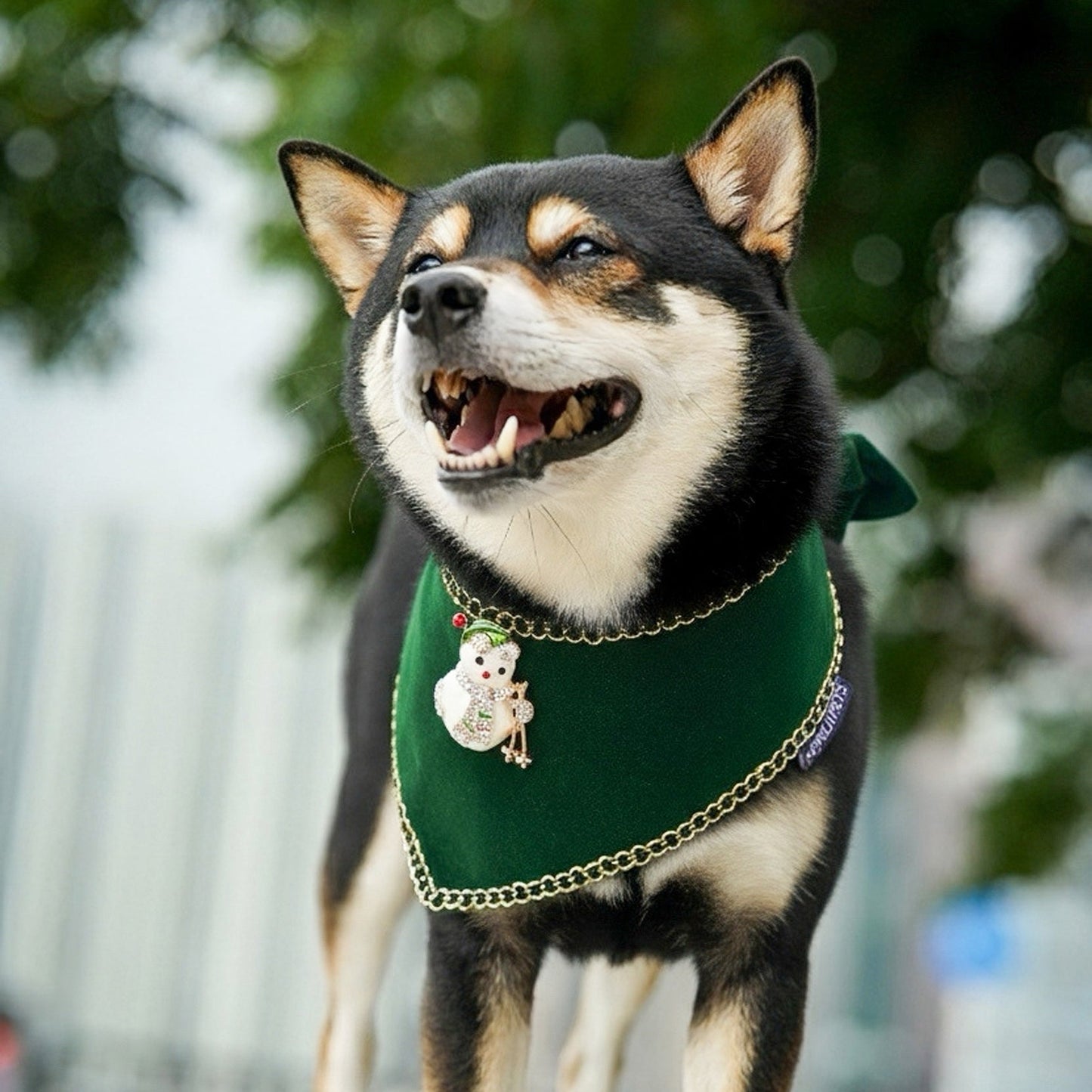 Starry Night Lux | Pet Christmas Neckwear