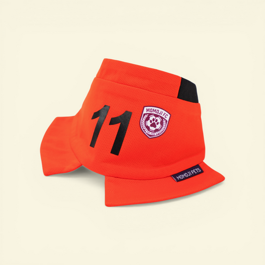 Momoji FC (3-Amsterdam Orange) | Pet Neckwear