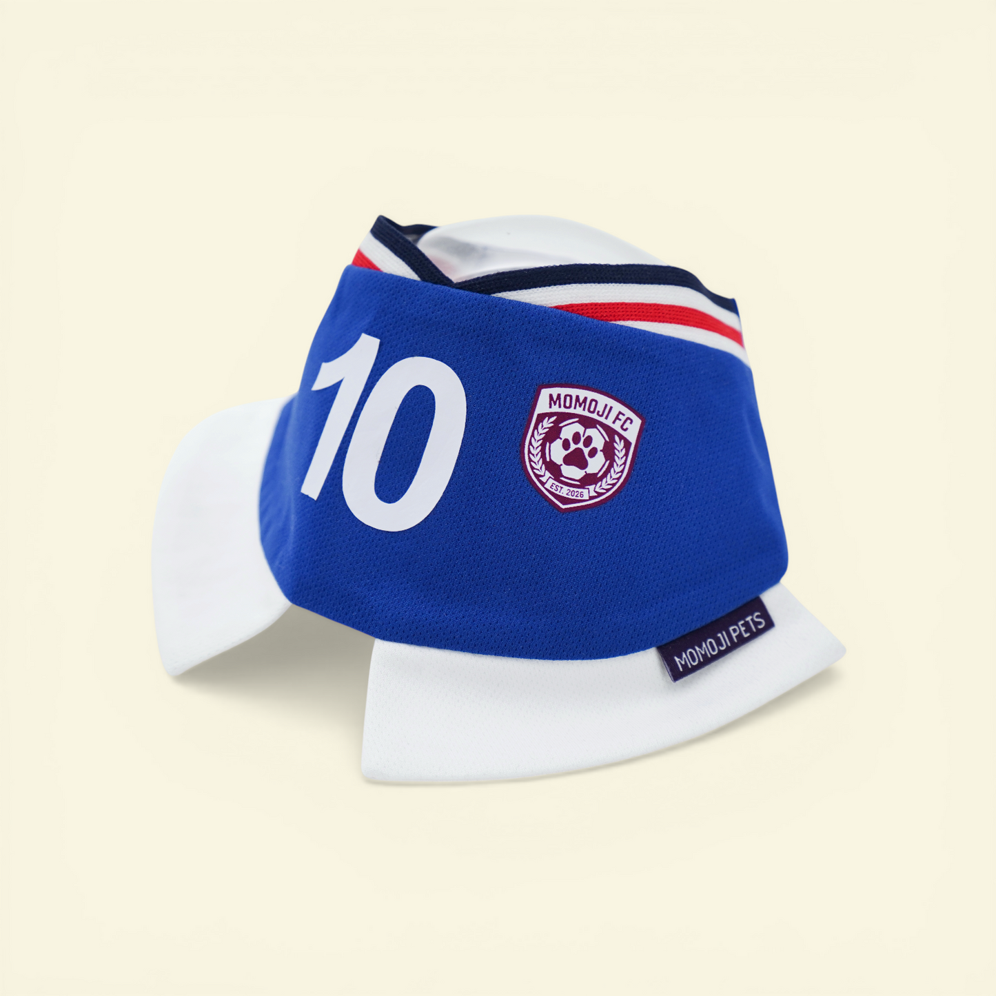 Momoji FC (5-Rome Blue) | Pet Neckwear