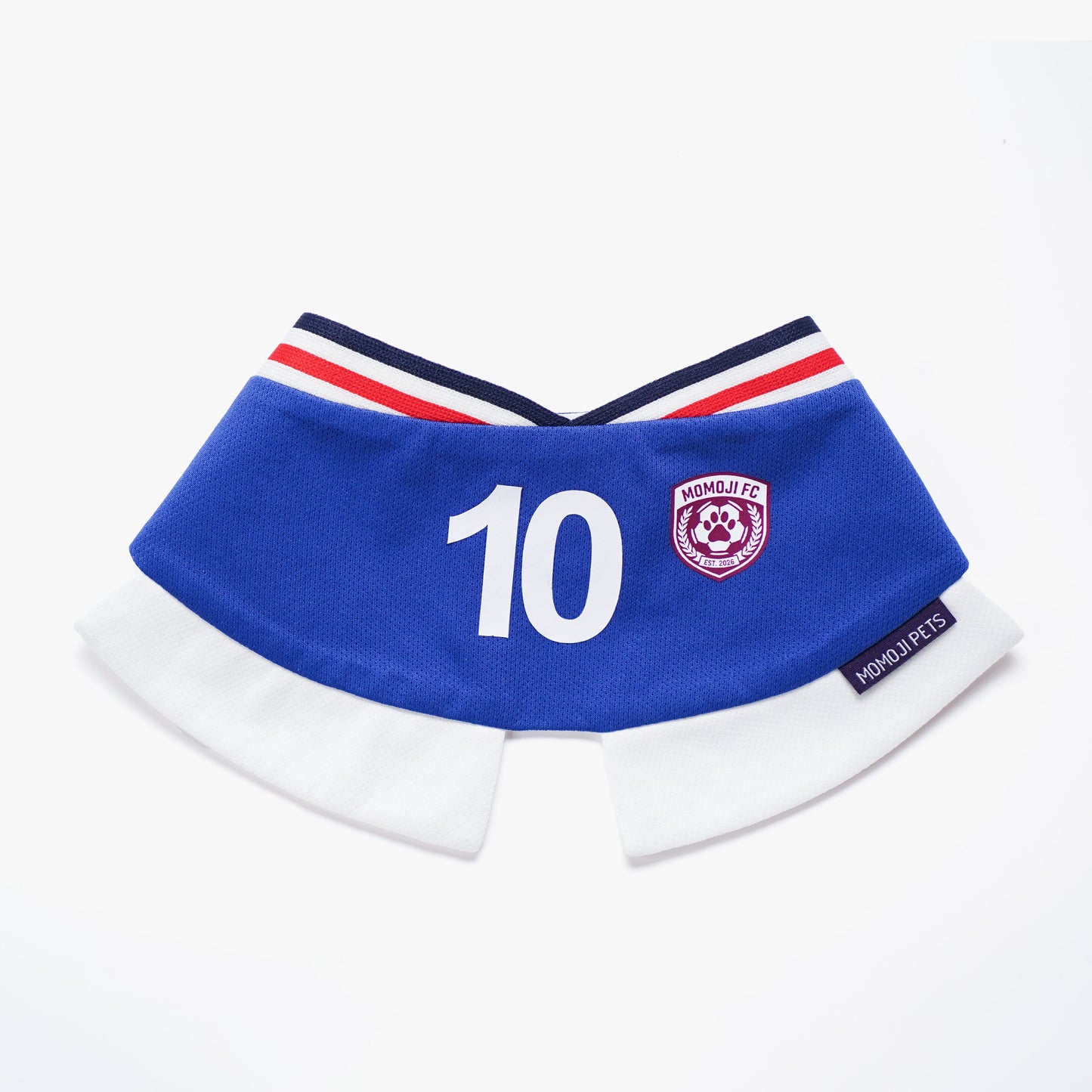Momoji FC (5-Rome Blue) | Pet Neckwear