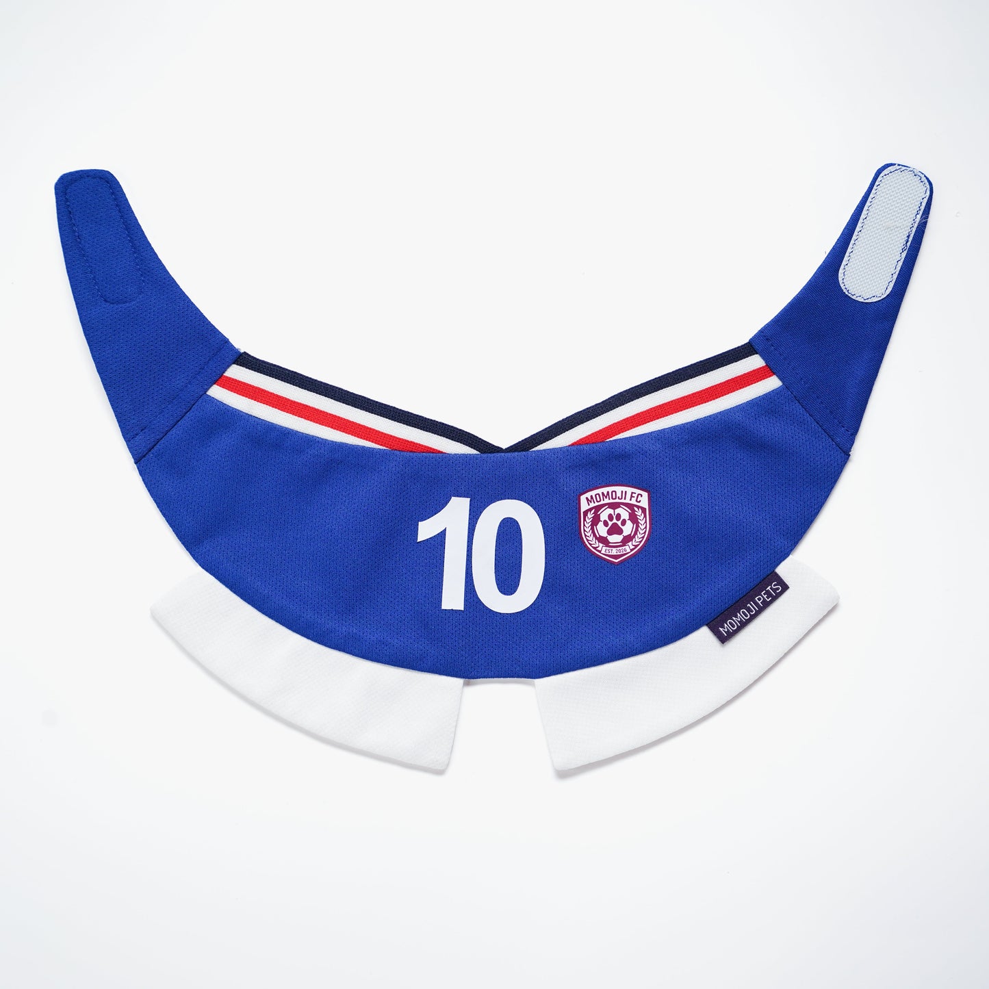 Momoji FC (5-Rome Blue) | Pet Neckwear