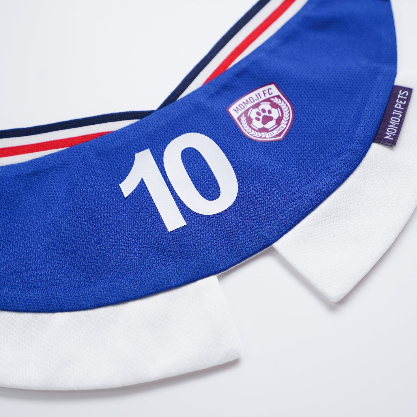 Momoji FC (5-Rome Blue) | Pet Neckwear