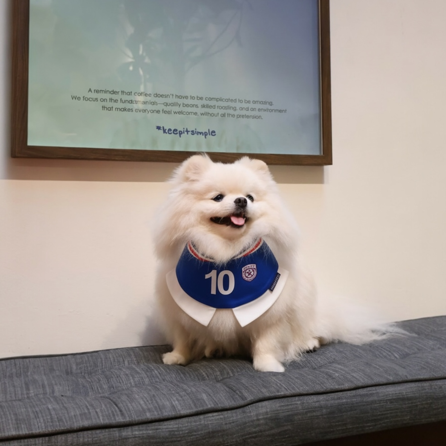 Momoji FC (5-Rome Blue) | Pet Neckwear