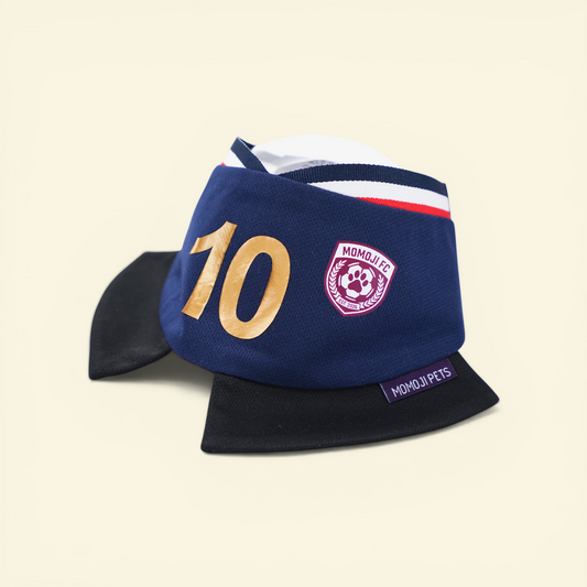 Momoji FC (6-Paris Navy) | Pet Neckwear