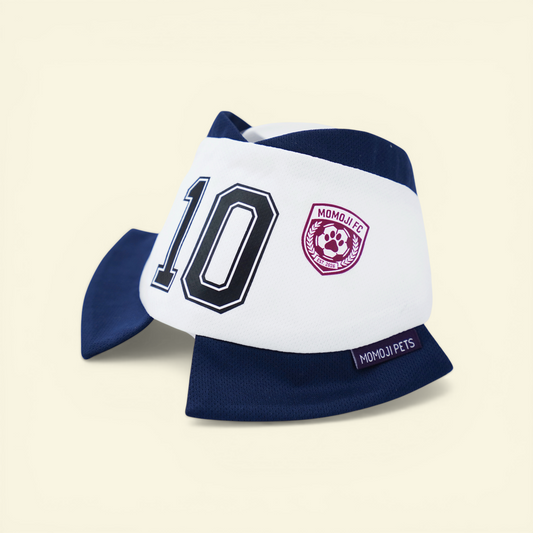 Momoji FC (7-London White) | Pet Neckwear
