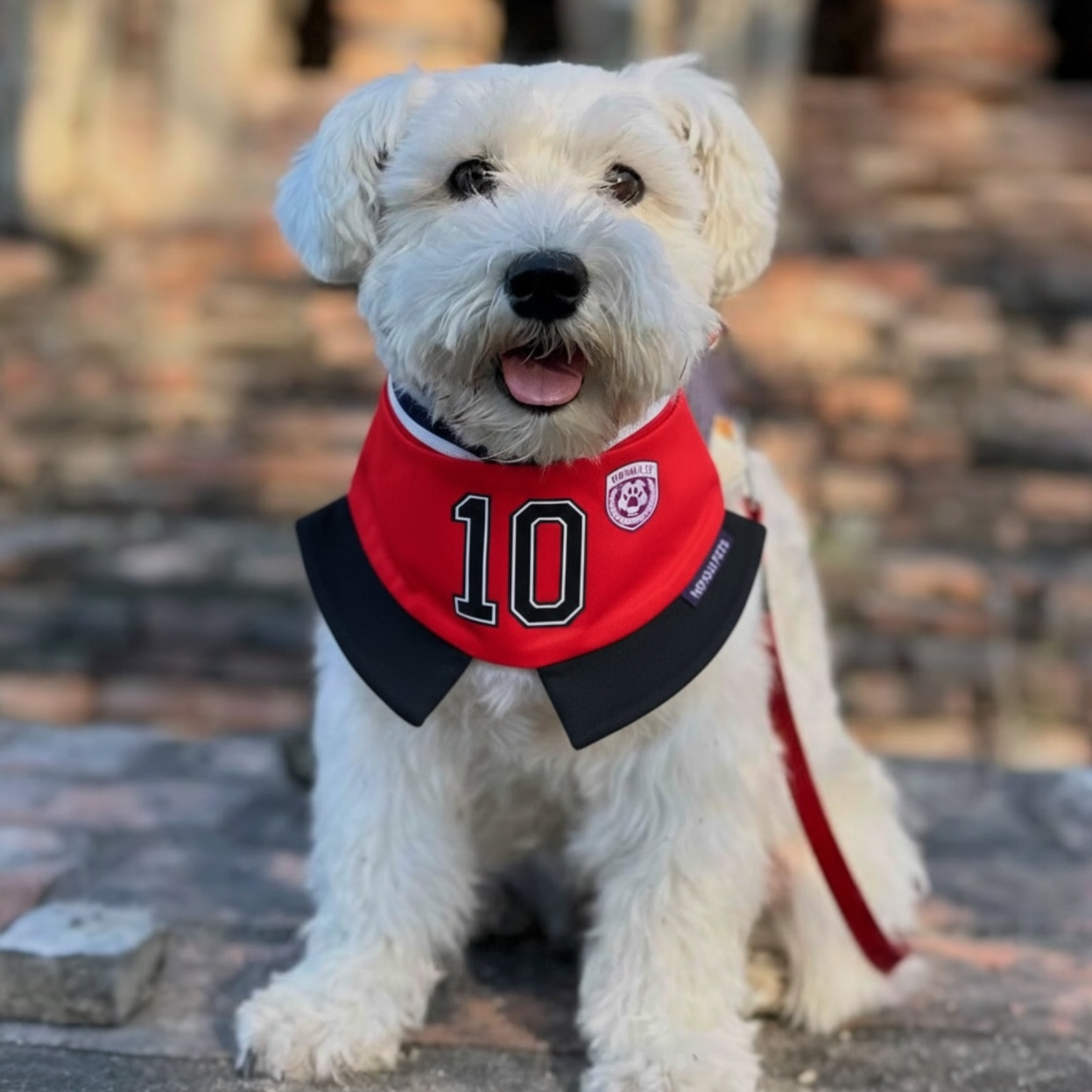 Momoji FC (8-Manchester Red) | Pet Neckwear