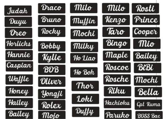 3D Name Tag