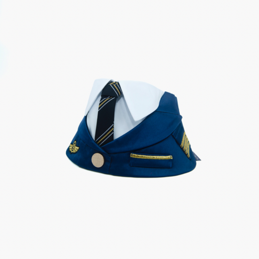 [PRE-ORDER] Momoji Air Pilot (02-Royal Blue) (8362525131032)